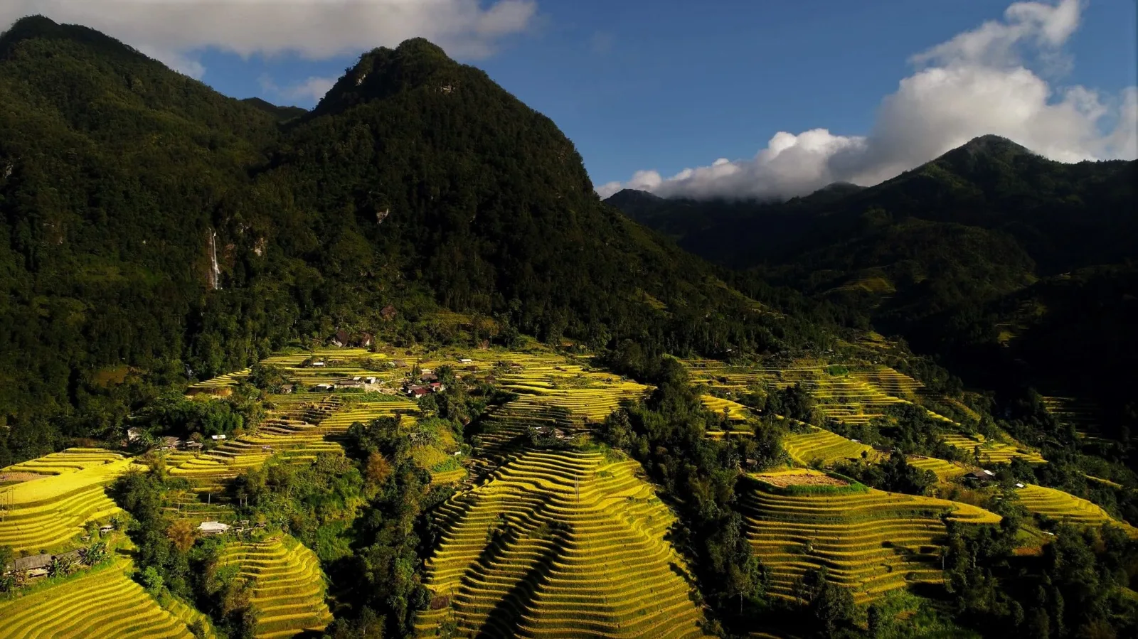 Terraced fields of Hoang Su Phi, Vietnam
